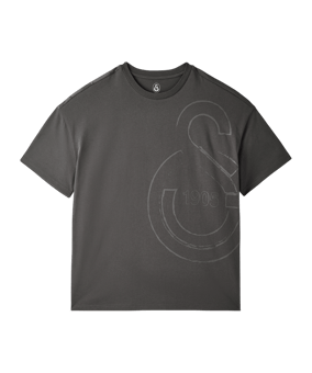 Galatasaray Istanbul T-Shirt Grau - grau