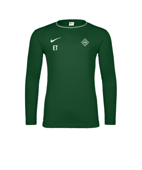 Nike Park 26 Longsleeve Grün F302