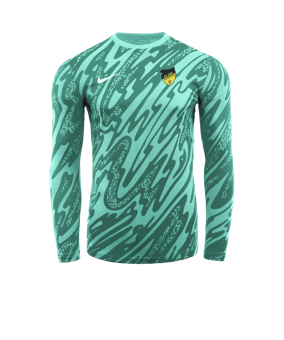 Nike Gardien V Torwarttrikot langarm Türkis F354