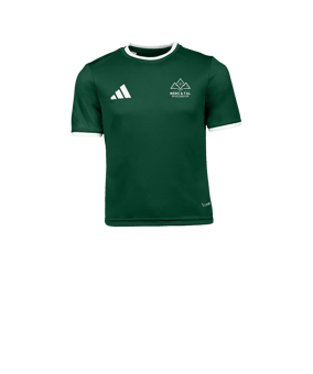 adidas Entrada 26 Trikot Kids Grün