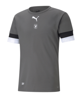 PUMA teamRISE Trikot Grau F13