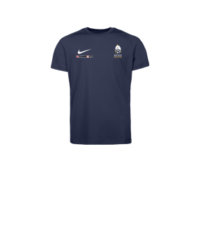 Nike Park VIII Trikot Kids Blau F410