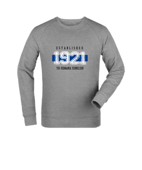 Merch Roller Sweatshirt Heather Grey | #established