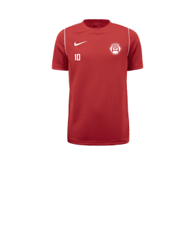 Nike Park 20 T-Shirt Kids Rot F657
