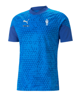 PUMA teamCUP Trainingsshirt Blau F02
