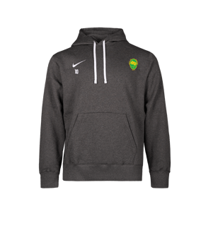 Nike Park 26 Sweatshirt à capuche Gris C071