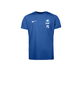 Nike Park VIII Trikot Kids Blau F463