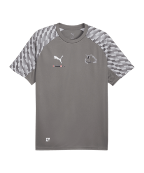 PUMA teamLIGA26 Trikot Grau F13