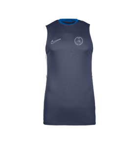 Nike Academy 25 Tanktop Blau F410