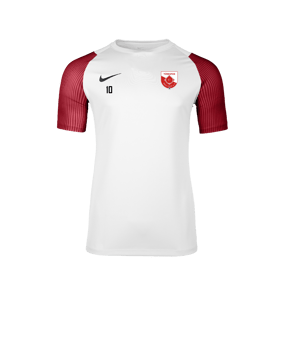 Nike Academy II Trikot Weiß F102