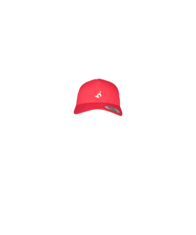 Merch 5 Panel Retro Trucker Cap Red | logo4c