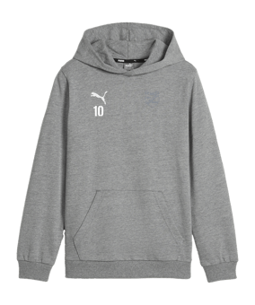 PUMA teamGOAL Casuals Hoody Kids Grau F33