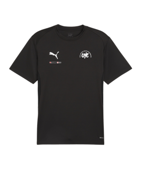 PUMA teamGOAL Trikot Schwarz F03