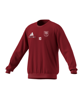 adidas Entrada 26 Sweatshirt Rot