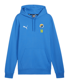 PUMA teamGOAL Casuals Hoody Blau F02
