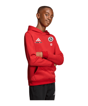 adidas Entrada 26 Hoody Kids Rot