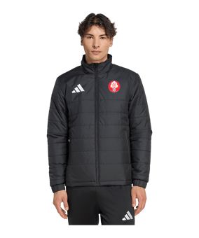 adidas Entrada 26 Padded Winterjacke Schwarz