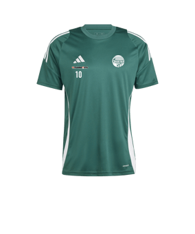 adidas Tiro 24 Trikot Dunkelgrün Weiss
