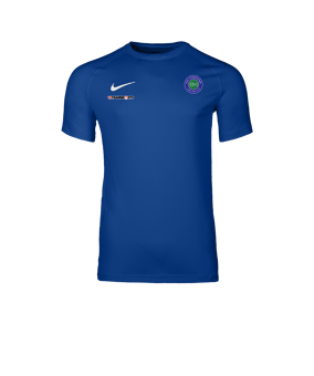 Nike Park VIII Trikot Blau F463