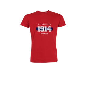 Merch Mini Creator 2.0 T-Shirt Kids Red | #established