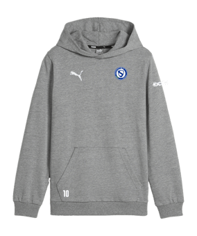 PUMA teamGOAL Casuals Hoody Kids Grau F33
