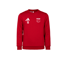 adidas Entrada 26 Sweatshirt Kids Rot
