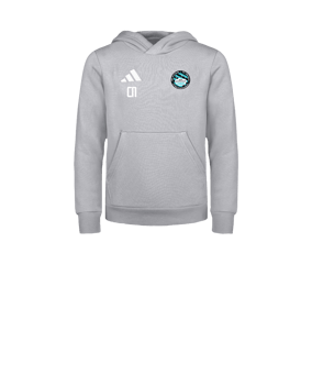 adidas Entrada 26 Hoody Kids Grau