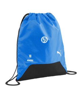 PUMA teamGoal Gym Bag Blau F02