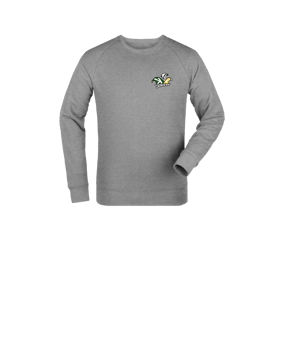 Merch Mini Changer 2.0 Sweatshirt Kids Heather Grey | #logo4c