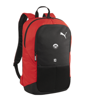 PUMA teamGoal Rucksack Rot F03