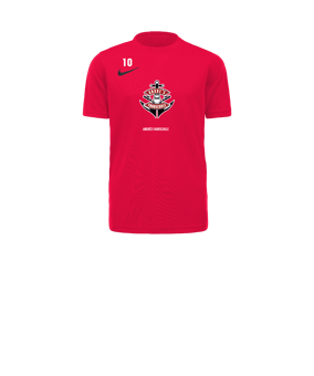 Nike Park VII Trikot kurzarm Kids Rot F635