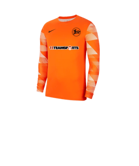 Nike Park IV TW-Trikot langarm Kids Orange F819