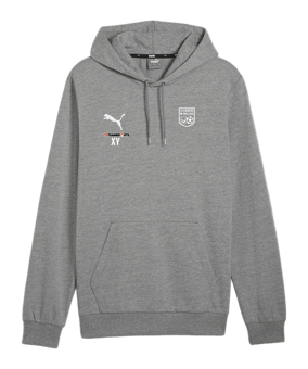 PUMA teamGOAL Casuals Hoody Grau F33