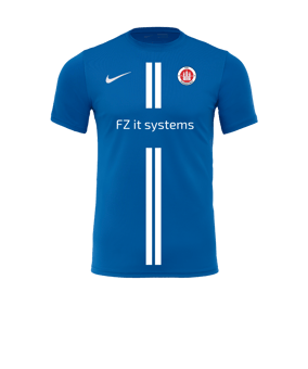 Nike Park VII Trikot kurzarm Blau F463