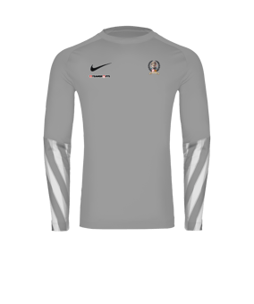 Nike Park V Trikot langarm Grau F097