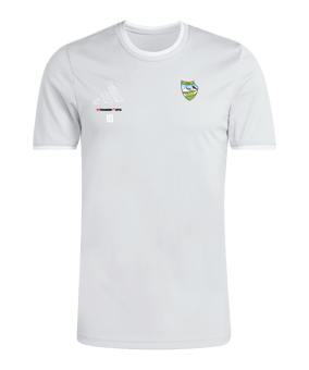 adidas Entrada 26 Trikot Grau
