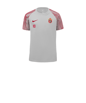 Nike Academy Trikot Kids Weiss Rot F100