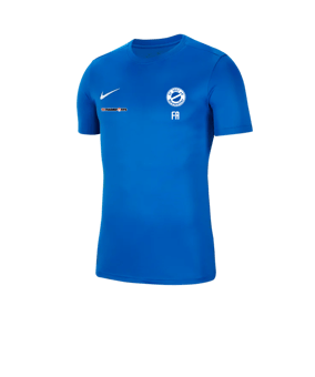 Nike Park VII Trikot kurzarm Blau F463