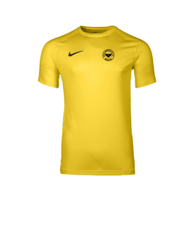 Nike Park VIII Trikot Gelb F719