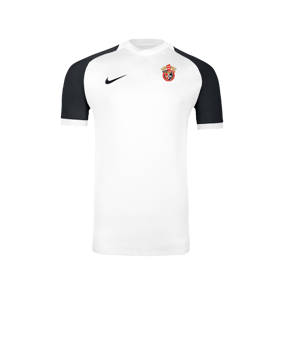 Nike Trophy VI Trikot Weiß F100