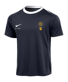 Nike Academy Pro 24 Trainingsshirt Blau Weiss F458