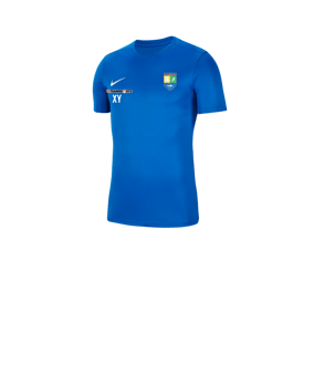 Nike Park VII Trikot kurzarm Kids Blau F463