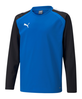 PUMA teamLIGA Sweatshirt Kids Blau F02 - blau