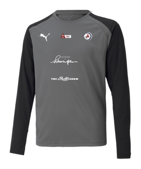 PUMA teamPACER Torwarttrikot langarm Kids F43