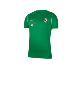 Nike Park 20 T-Shirt Kids Grün F302