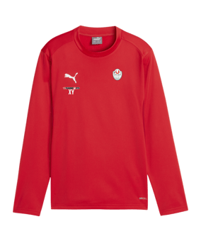 PUMA teamGOAL Training Sweatshirt Kids Rot F01