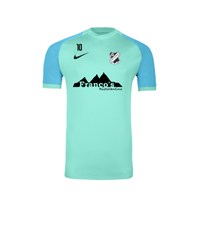 Nike Trophy VI Trikot Grün F354