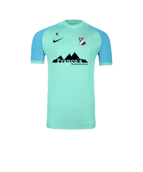 Nike Trophy VI Trikot Grün F354