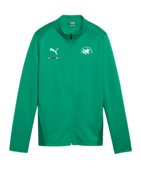PUMA teamGOAL Trainingsjacke Damen Grün F05
