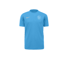 Nike Park VII Trikot kurzarm Kids Blau F412